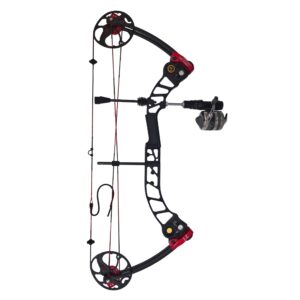 قیمت کمان کامپوند ورزشی