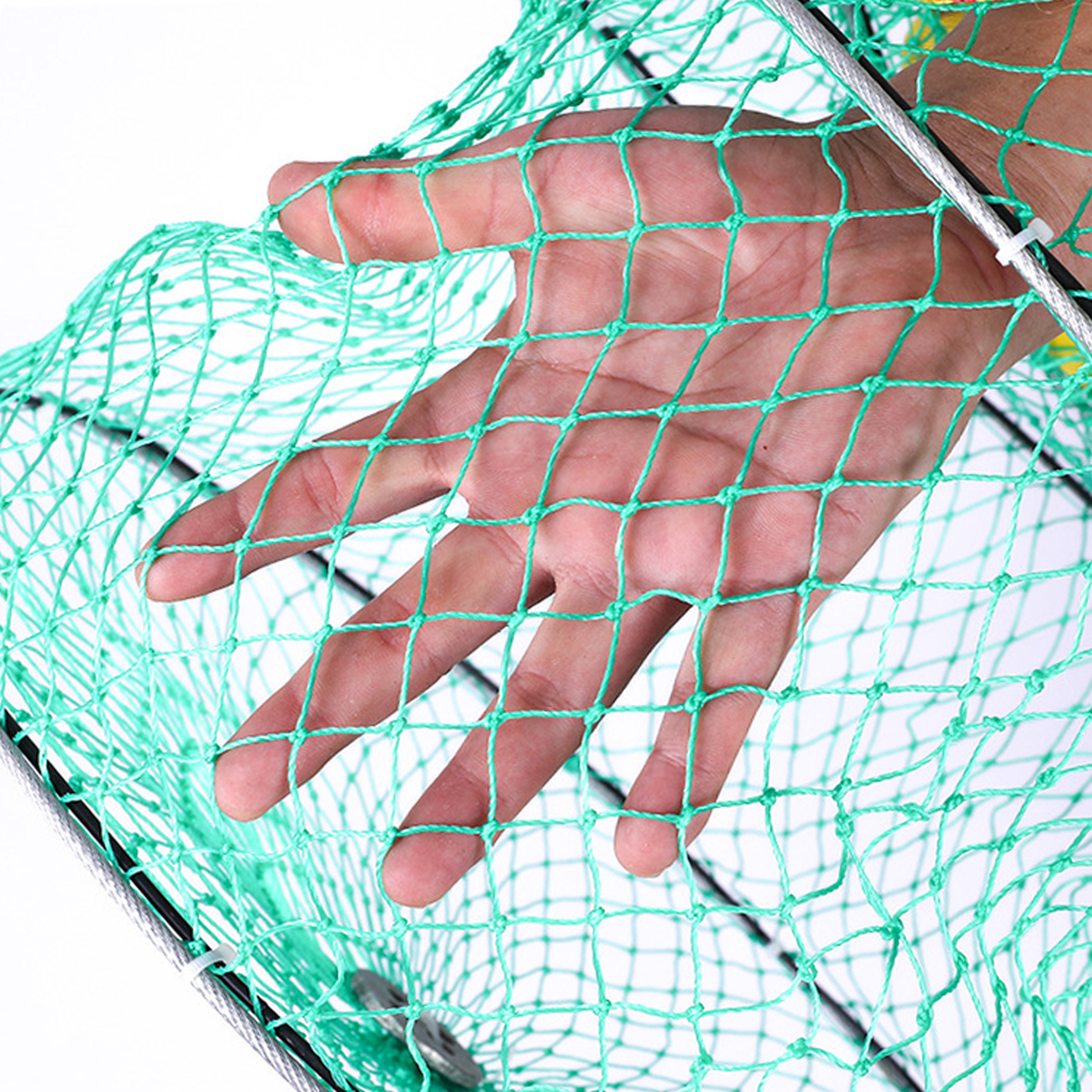 زنده نگه دار ماهی