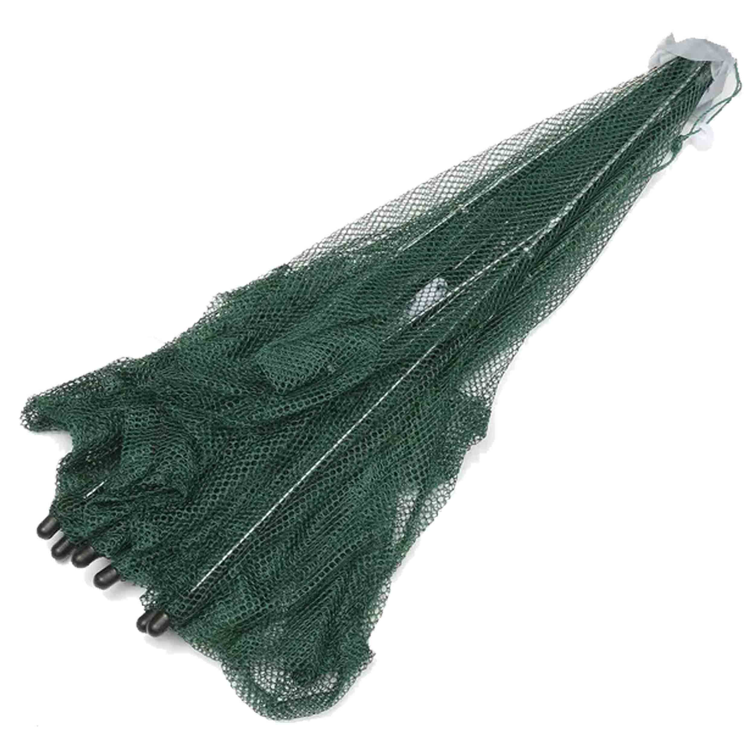 گرگور-5-ضلعی-5-خانه-10 خرید گرگور بزرگ