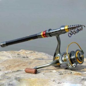 لنسر برای کپور