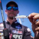 خرید طعمه نرم و سخت ماهیگیری