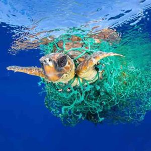 تور های ارواح چیست؟