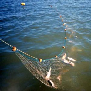 دام ماهیگیری آماده با شناور و سرب