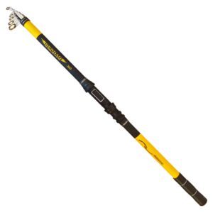 چوب ماهیگیری حرفه ای