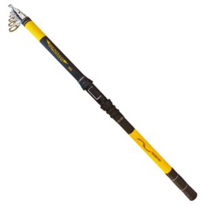 چوب ماهیگیری ارزان