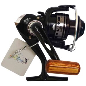 چرخ ماهیگیری هونگ ژیانگ