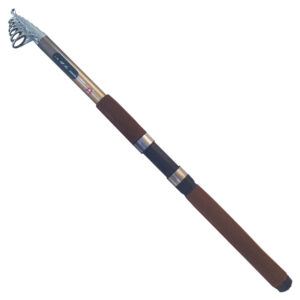 چوب ماهیگیری